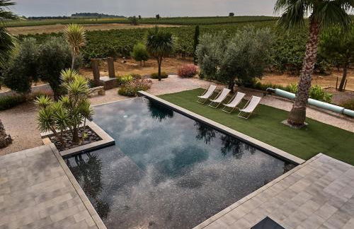 Villa contemporaine avec piscine à débordement dans un domaine viticole - Foto 9