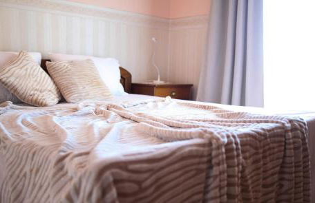 Six Steps From The Forest - Photo 18