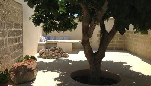 Dimora Cavalieri charming house salento puglia - Foto 5, Garden