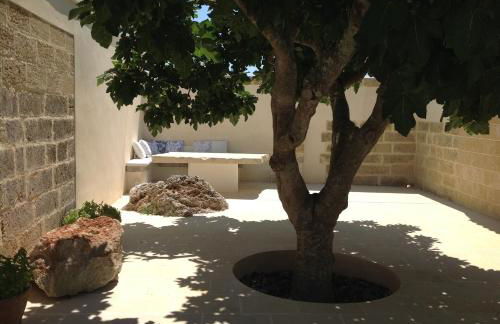 Dimora Cavalieri charming house salento puglia - Foto 5
