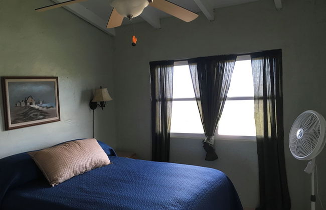 Bananaquit House - Foto 1