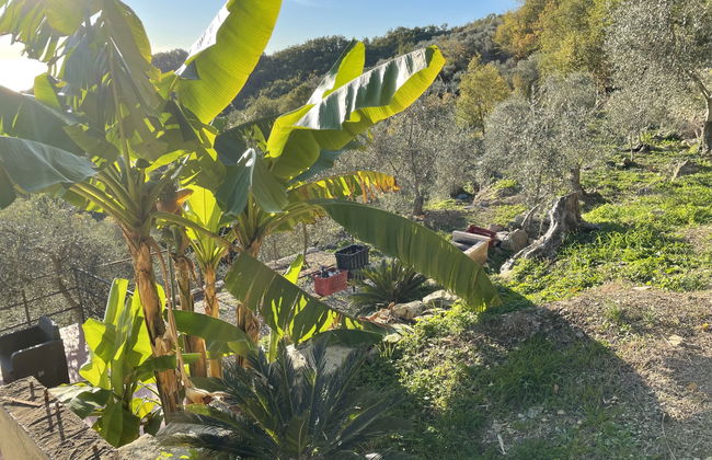 4 bedroom House in Prelà with private pool and garden - Photo 19