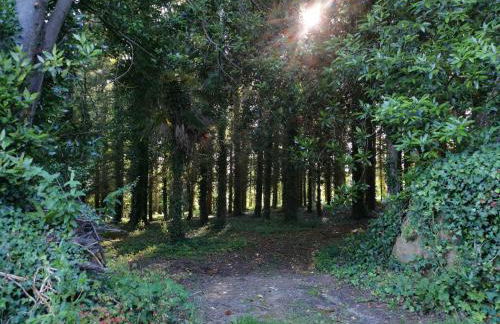 Domaine de Stang Bihan - Photo 75