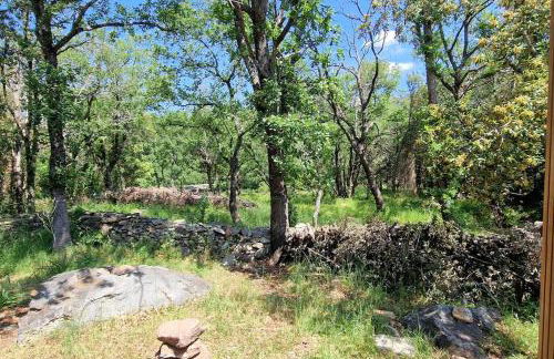 Villa Bergerie Baracco Argia, piscine, maquis et tradition corse pour 6 personnes - Foto 19