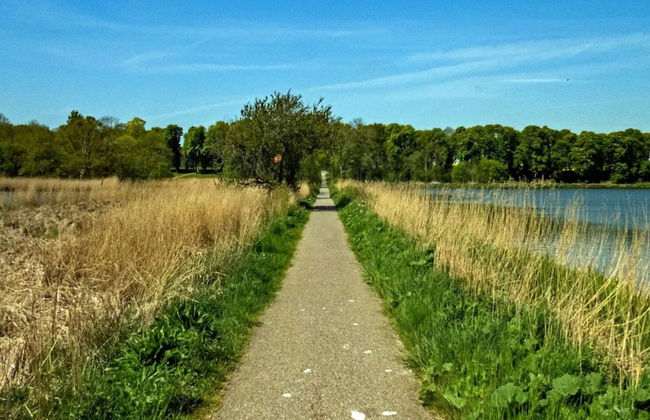 8 Person Holiday Home in Nysted - Foto 12