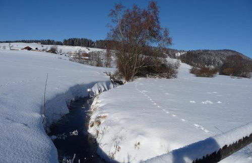Haus Bayrhof - Foto 28