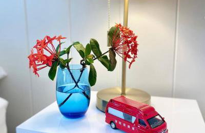 Oceanfront Stay w/ AC, BBQ, Washer/Dryer & Kitchen - Foto 26