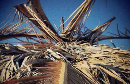 Isla Studios - Foto 9