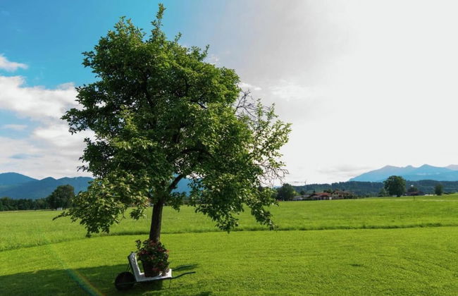 Gemutliches Ferienwohnung in Feldwies mit Sauna - Photo 39