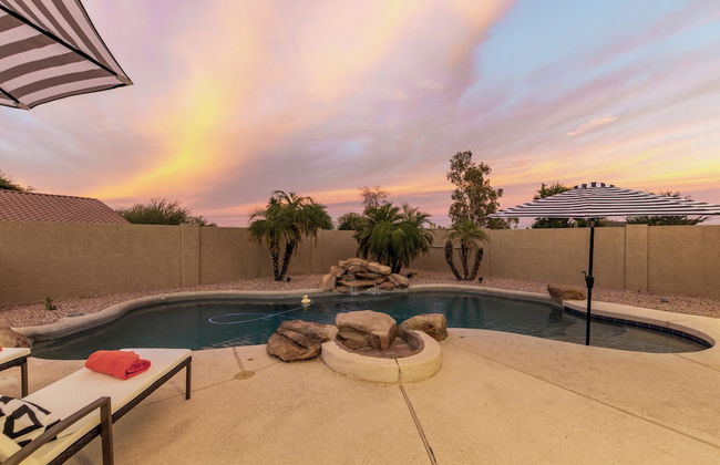 The Golden Cactus Phoenix - Photo 34