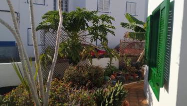 Caracola azul - Foto 4, Garden