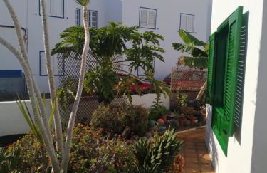 Caracola azul - Foto 4