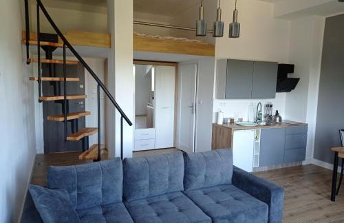 Apartamenty Kasztanowa Zator - Foto 13