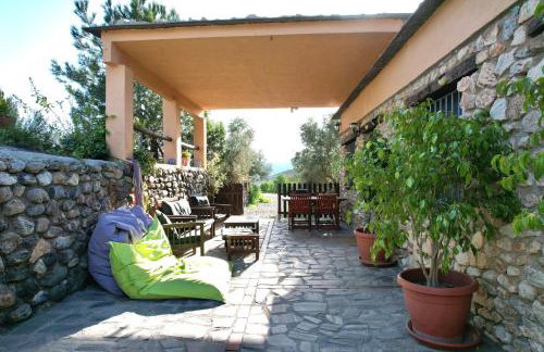 Secano de Paco - Foto 9