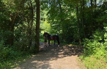 K 357 - Low budget Hotel in Ratekau bei Lübeck - Foto 46