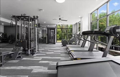 Stunning Lake Wylie Apartment at VALE - Foto 4