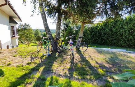 Dom nad jeziorem Zbiczno Siedlisko - Foto 11