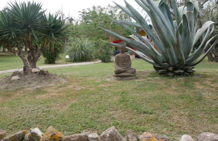 MAS MAURANE-Le Platane avec SPA privé aux portes d'ARLES - Foto 57