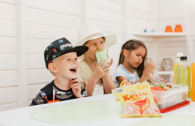 Pikku Torppa Cottage - Foto 43