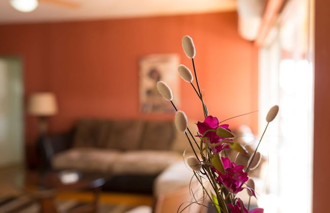 New Kingston Guest Apartments at Abbey - Foto 18