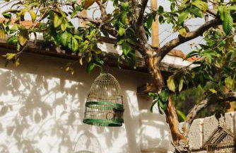 Casa Jable Nueva - Foto 7