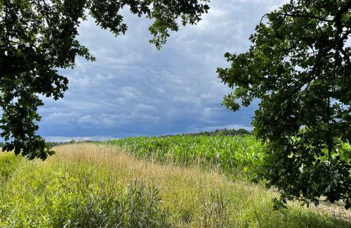 Little Cottage - Foto 45