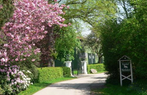 Reetdachkate Ekenis - Foto 19