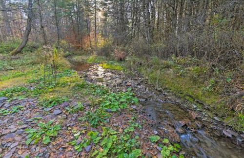 Unadilla Cabin on 50 Acres and Fire Pit and Creek - Foto 37