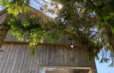 Sidorówka nad Wigrami - Foto 58