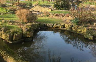 Woodlands Holiday Apartments - Foto 46