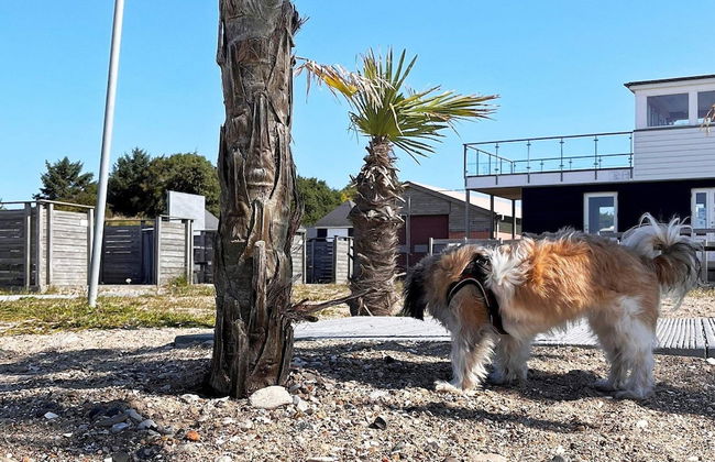 5 Person Holiday Home in Oster Assels-by Traum - Foto 25