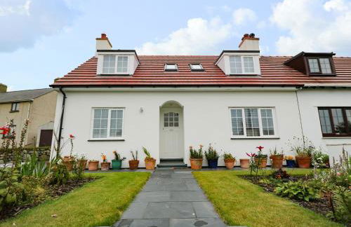 One Dolfor - Photo 2