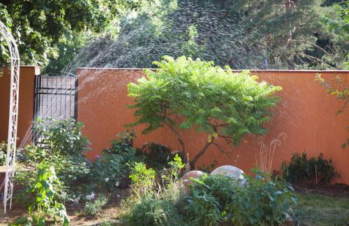 Kleine Kirche Atzendorf - Foto 3