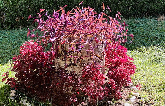 Rincòn Único Centrico - Foto 34