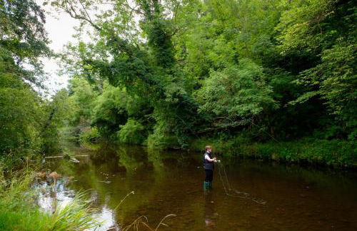 The Old Millhouse - Luxury Retreat with Sauna, Cold Plunge, Yoga & Swim SPA - Photo 16