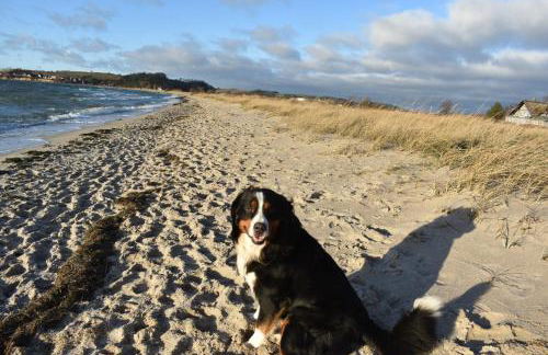 Ferienhaus Berner Sennen - Foto 2