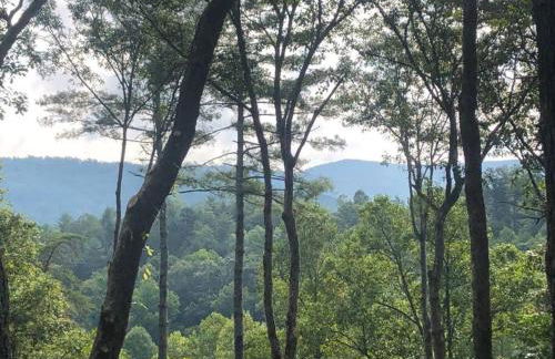 Log Cabin with Mountain View and Privacy - Foto 10