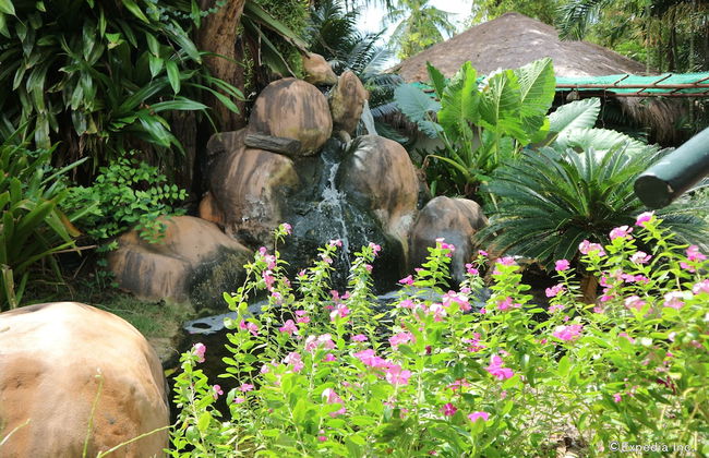 Dos Palmas Island Resort & Spa - Foto 62