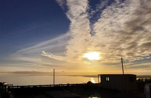 Little Willow - Uk5998 - Foto 20