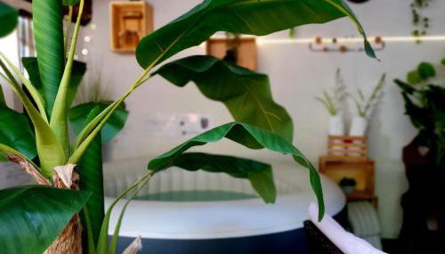 Studio19 Cosy Sauna Jacuzzi et jardinet privatifs - Foto 5