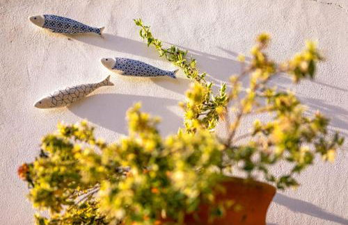 Aldeias do Zêzere-Pátio dos Caseiros - Foto 6