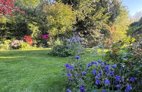 Ferienwohnung Am Kiessee Birkwitz - Foto 15