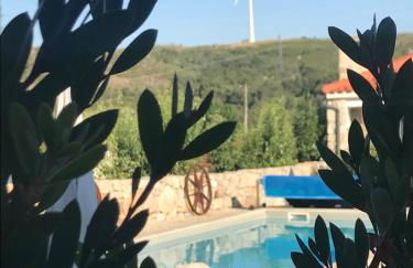 Quinchoso dos Bentos - Foto 45