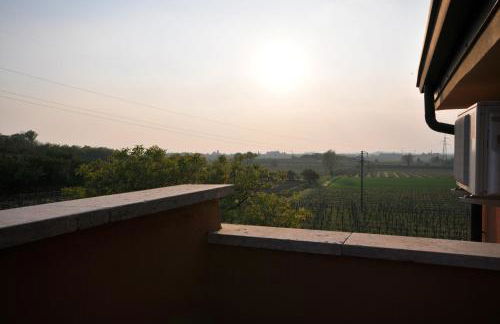 Agriturismo Corte Albarel - Foto 24