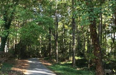 Peaceful Peachtree Villa - Foto 21