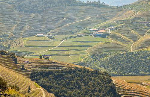 Bela Vista - Foto 23