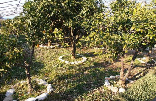 Jenny`s House - Photo 27