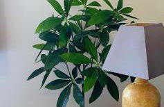 Studio au calme vue montagne "Petit Tibet" - Foto 7