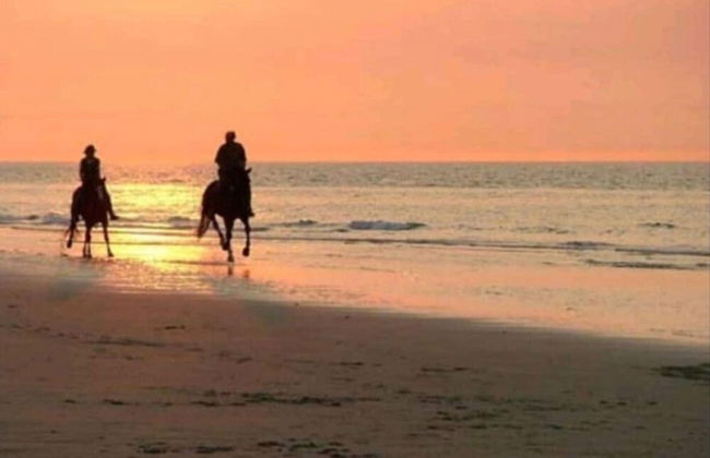 Unique House Within Walking Distance of the Beach - Foto 20