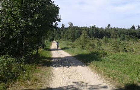 Ferienhaus Burgblick Brueggen - Foto 48